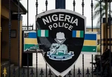 Police 696x372 1