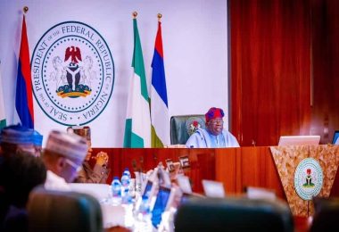 President Bola Tinubu in FEC Meeting