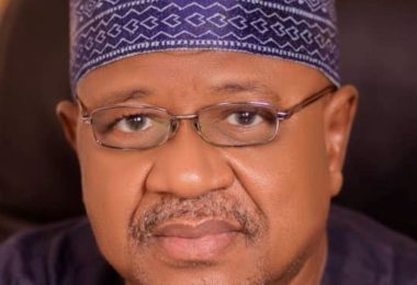 Promoter of the Alliance for Democratic Action ADA Umar Ardo e1778754171860