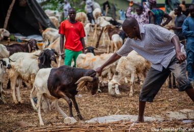 RAM SALE IN ABUJA13
