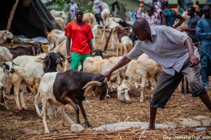 RAM SALE IN ABUJA13