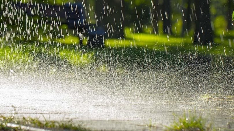 Rain