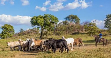 Ranching