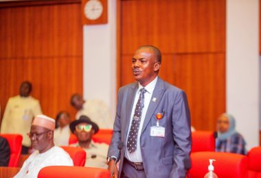 Senator Kaka Shehu Lawan