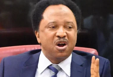 Shehusani 2
