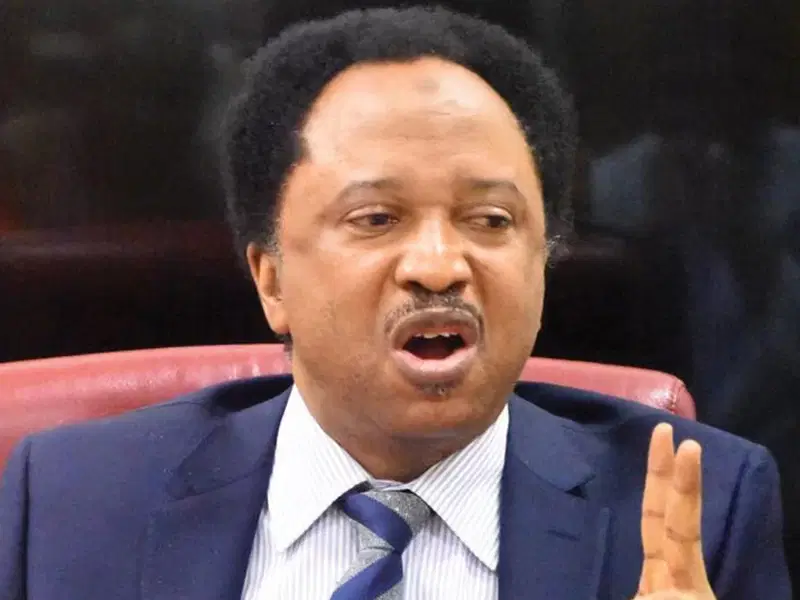 Shehusani 2