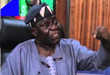The General Secretary of the National Democratic Coalition NADECO Ayo Opadokun