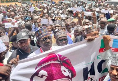Tinubu wins Yobe