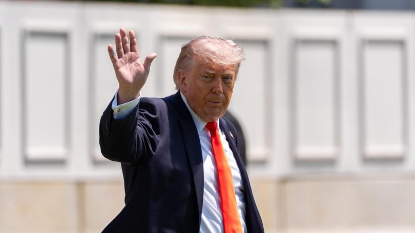 Trump 66843