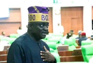 Wole Oke Osun PDP Rep Member