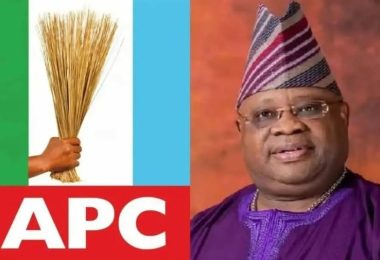apc osun