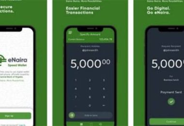 eNaira Wallet