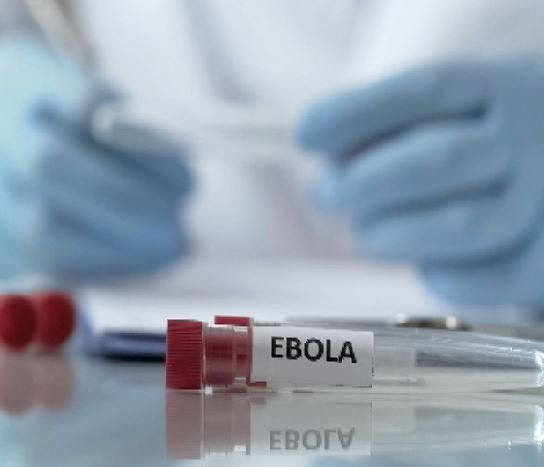 ebola2
