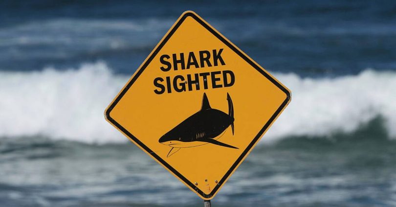 fisherman mauled on great barrier reef in second fatal shark attack in a week