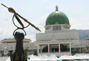 national assembly nass