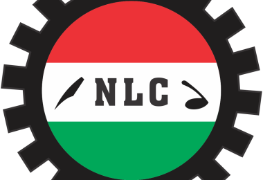 01 labour 1