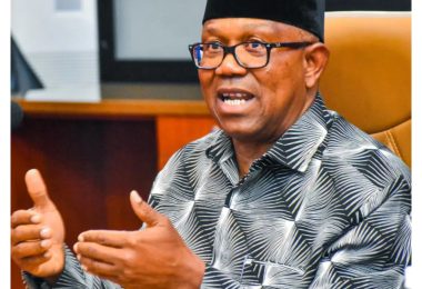 1781202015 Peter Obi