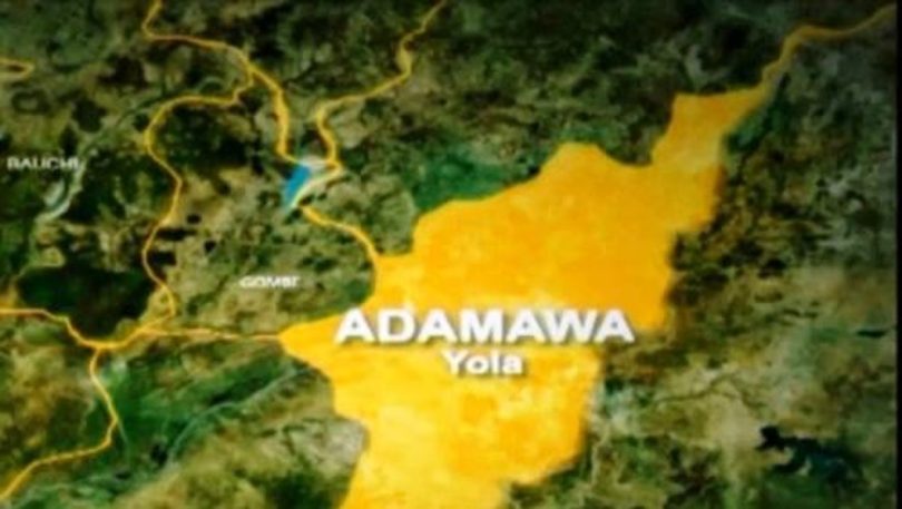 1781269808 Adamawa