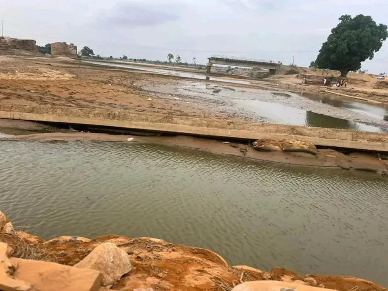 1781710225 292 image 1
