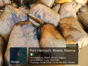 1781893826 image 82