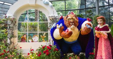 773026 Disney princess Belle and
