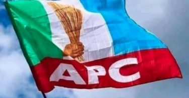 APC Flag1