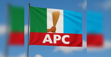 APC flag 1