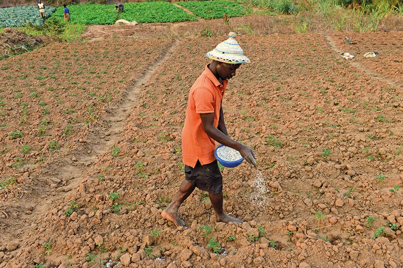 Access to Fertiliser