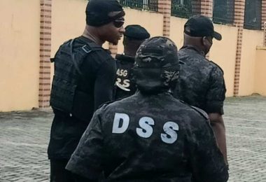 DSS 2