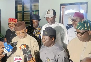Governors on state police