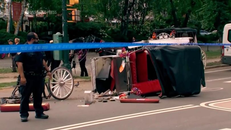 Horse Carriage Death 769 1