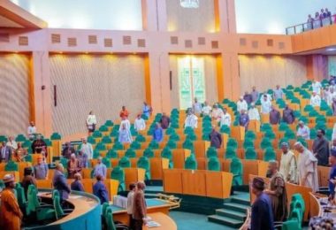 House of Reps chamber 3 696x348 1