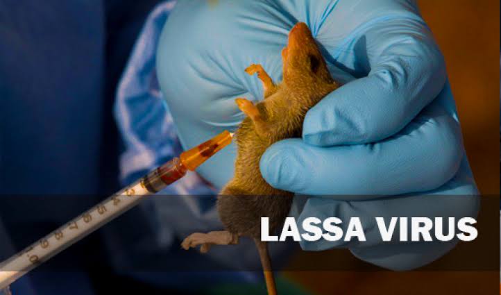 Lassa fever