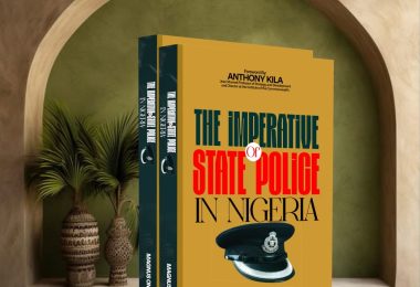Magnus Onyibe book