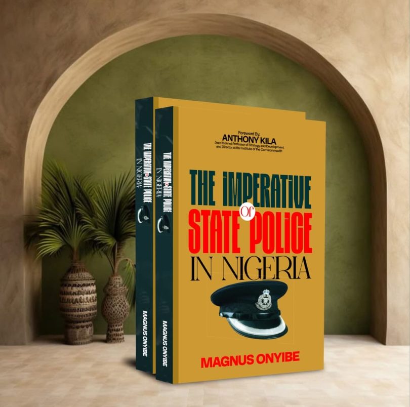 Magnus Onyibe book