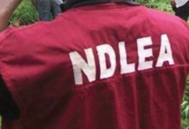 NDLEA