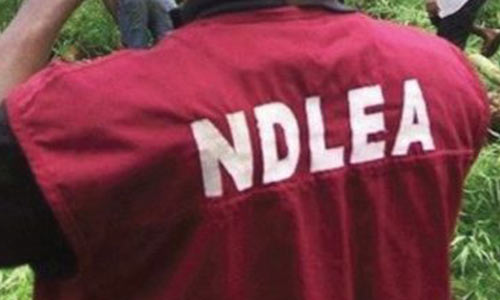 NDLEA