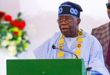 President Bola Tinubu 1024x819 1