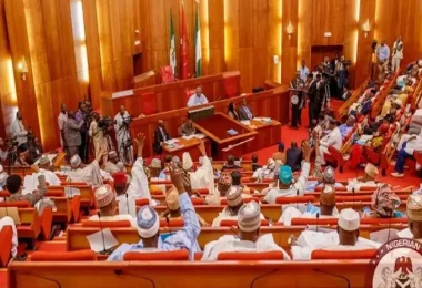 Senate Nigeria 2