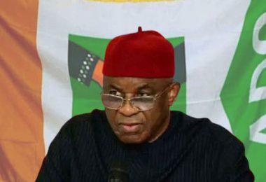 Senator David Mark