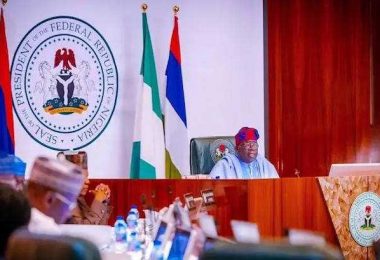 Tinubu Presides Over FEC Meeting