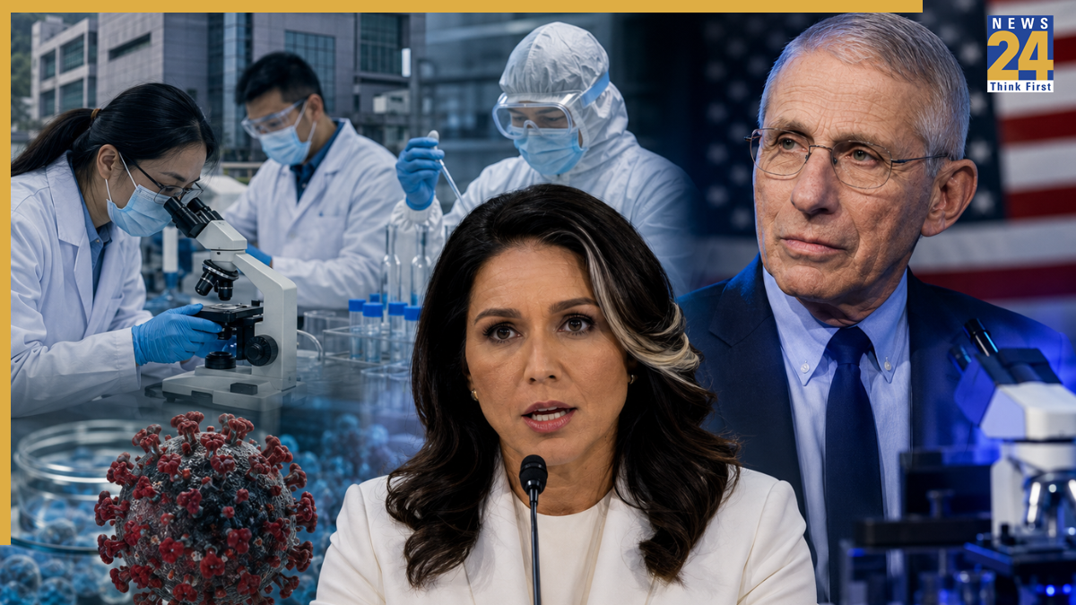 Tulsi Gabbard