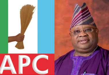 ademola adeleke