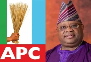 apc adeleke ezgif.com webp to jpg converter 1024x614 1