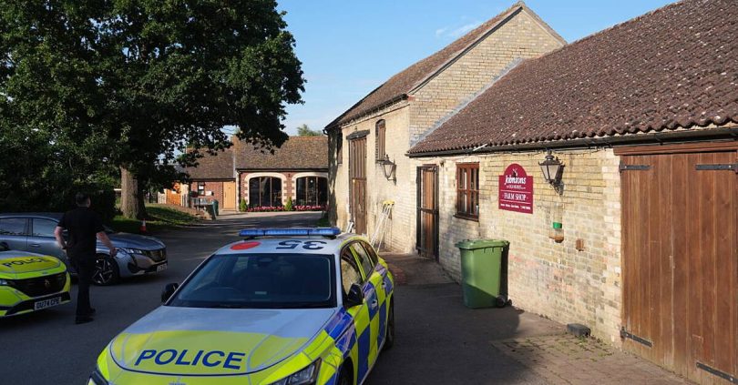 boy three in stable condition in hospital after crocodile enclosure incident