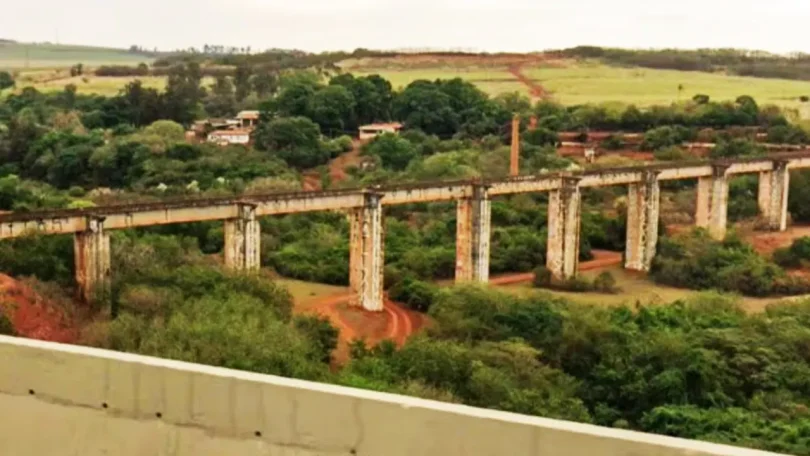 brazil skeleton bridge