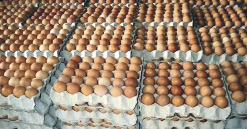 egg glut