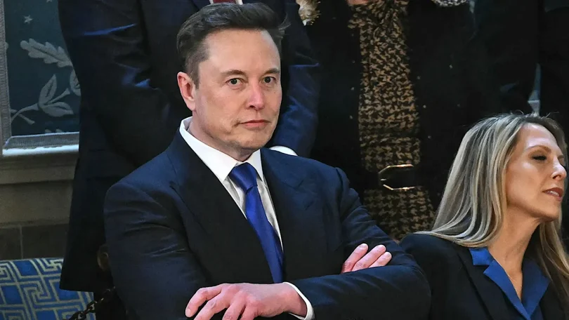 elon musk congress scaled copy