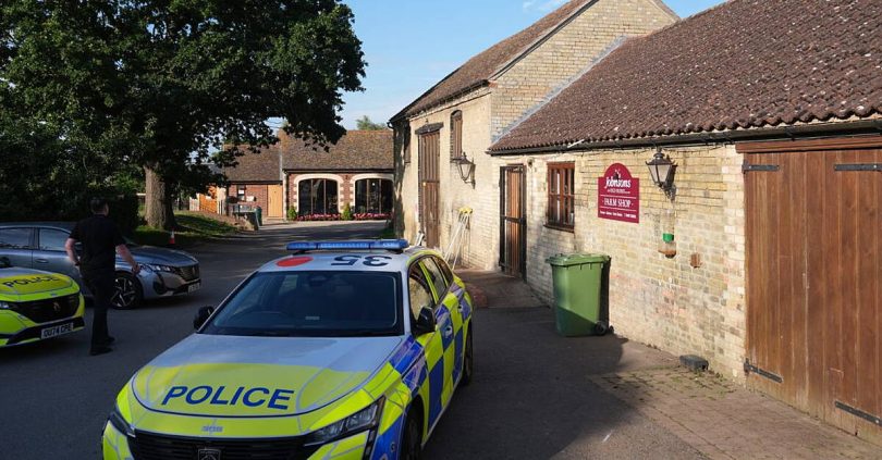 english crocodile attraction where boy three was seriously injured reopens to public