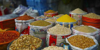 food african countries